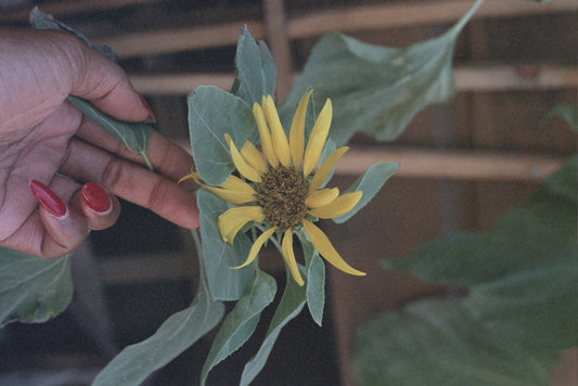 A New Kind of Earth Day